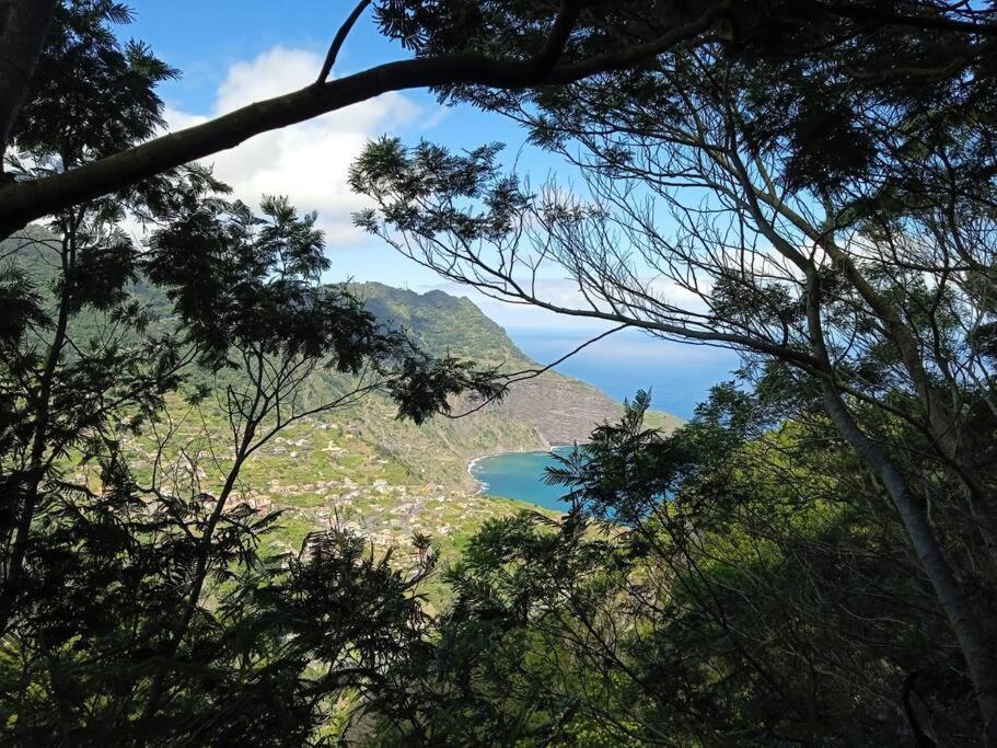Terra Batista House Βίλα Porto Da Cruz Εξωτερικό φωτογραφία